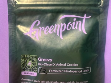 Sell: Greezy (12 F) - an electrifying polyhybrid by Greenpoint Seeds!