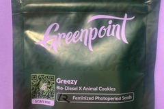 Sell: Greezy (12 F) - an electrifying polyhybrid by Greenpoint Seeds!