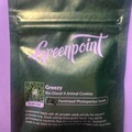 Vente: Greezy (12 F) - an electrifying polyhybrid by Greenpoint Seeds!