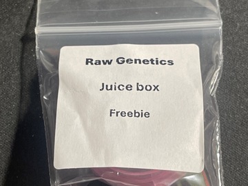 Sell: Raw Genetics Juice Box