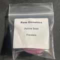 Venta: Raw Genetics Juice Box