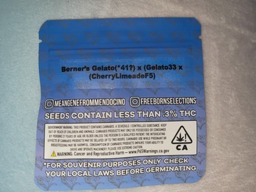 Vente: Berner’s Gelato(*41?) x (Gelato 33 x (CherryLimeade F5))