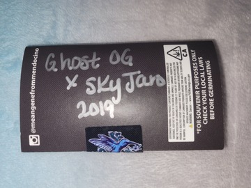 Sell: Ghost OG X Sky Jaro