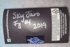 Venta: Freeborn Selections Sky Jaro F3