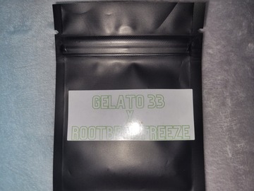 Vente: Dutch Blooms 5 pack Gelato33 x Rootbeer Freeze