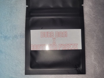 Vente: Dutch Blooms Durb Dosi x Rootbeer Freeze 5 pack