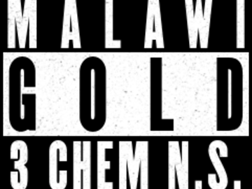 Vente: Malawi Gold 3 Chem NS - Masonic Seed Co.