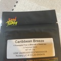 Venta: Caribbean Breeze x Vanilla Frosting Photo Fems 30pack