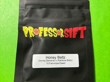 Venta: Honey Beltz - Professor Sift (15-pk Fems)