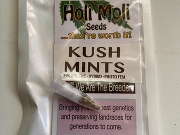 Sell: 6 FEMINIZED KUSH MINTS SEEDS