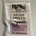 Sell: 6 FEMINIZED KUSH MINTS SEEDS