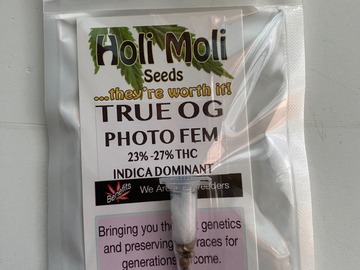 Sell: 6 FEMINIZED TRUE OG SEEDS