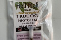 Venta: 6 FEMINIZED TRUE OG SEEDS