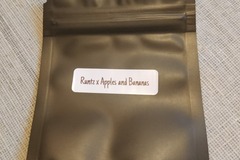 Sell: Runtz x Apples and Bananas 12 Feminized seeds