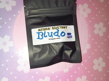 Sell: Bludo NS Masonic seeds