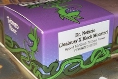 Vente: Dr. Nefario = JEALOUSY X BLOCK MONSTER