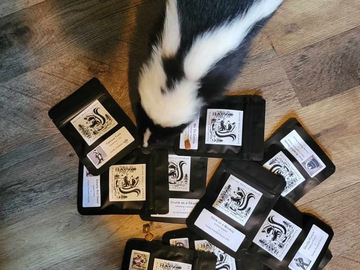 Sell: Mini Black Box 10 packs ( Skunk Approved)