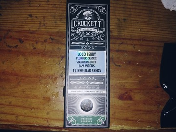 Venta: Crockett Family Farms - Loco Berry Regs