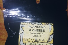 Sell: Crockett Family Farms Regs Breeder Pack : Banana Og x Cheese