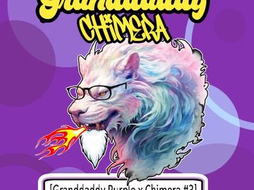 Sell: Granddaddy Chimera - Granddaddy Purple x Chimera #3 - 10 REGS