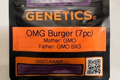 Vente: OMG Burger, 808 Genetics - GMO X GMO Bx3 - 7 Regs