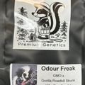 Venta: Odour Freak  (GMO x Gorilla Roadkill Skunk)