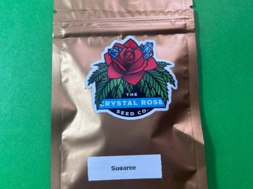 Venta: Sugaree - Crystal Rose Seed Co. (12-pk Regs)