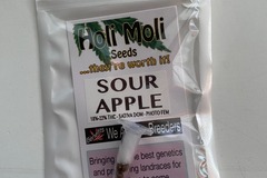 Sell: 6 FEMINIZED SOUR APPLE SEEDS