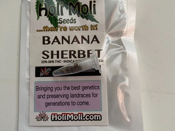 Sell: 6 FEMINIZED BANANA SHERBET SEEDS