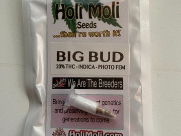 Vente: 6 FEMINIZED BIG BUD SEEDS