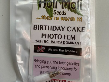 Vente: 6 FEMINIZED BIRTHDAY CAKE SEEDS