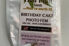 Vente: 6 FEMINIZED BIRTHDAY CAKE SEEDS