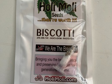 Sell: 6 FEMINIZED BISCOTTI SEEDS