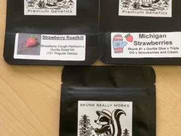 Sell: Strawberry Cough Skunk Bundle 3 packs