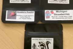 Vente: Strawberry Cough Skunk Bundle 3 packs