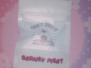 Subastas: *Auction* Barney Meat - Masonic Seeds (Dino meat Bx2 NS)