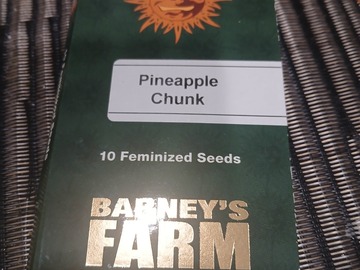 Sell: Barney's Farm Pineapple Chunk Feminized Seeds