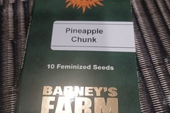 Vente: Barney's Farm Pineapple Chunk Feminized Seeds