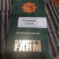 Vente: Barney's Farm Pineapple Chunk Feminized Seeds