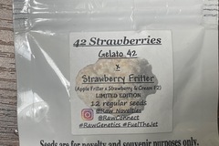 Sell: Raw Genetics 42 Strawberries Limited Gelato x Strawberry Frit