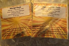 Sell: Mango Haze & Watermelon Haze - Old Timer Tom Hill Pez Sours