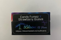 Sell: Feminized Crosses from Bloom