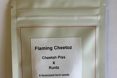 Sell: Flaming Cheetoz from LIT Farms