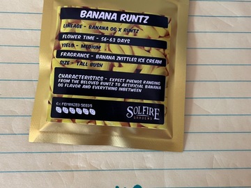 Venta: Banana runtz Solfire genetics