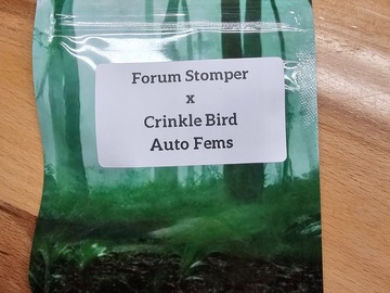 Sell: Forum Stomper x Crinkle Bird - 10 AUTO FEMS