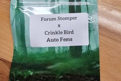 Sell: Forum Stomper x Crinkle Bird - 10 AUTO FEMS