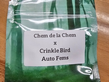 Vente: Chem de la Chem x Crinkle Bird - 10 AUTO FEMS