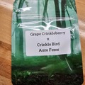 Sell: Grape Crinklebery x Crinkle Bird  - 10 AUTO FEMS