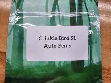 Vente: Crinkle Bird S1 - 10 AUTO FEMS