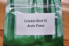 Sell: Crinkle Bird S1 - 10 AUTO FEMS